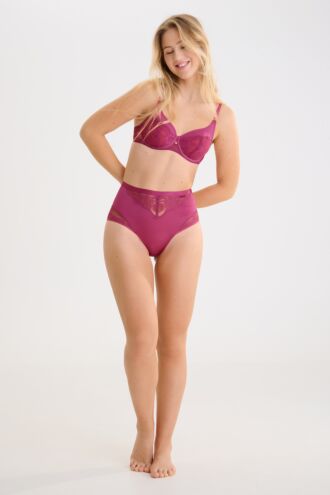 »Robin« High Waisted Briefs